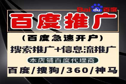 某行业巨头托管竞价sem的胜利之路